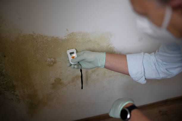 Best Water Damage Restoration  in West Siloam Springs, OK