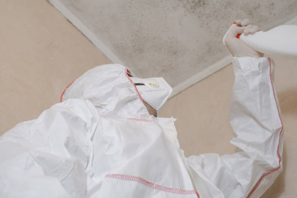 Mold Testing and Removal in West Siloam Springs, OK