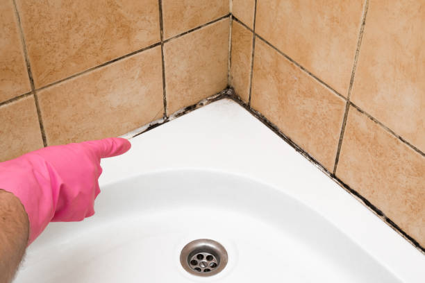 Best Certified Mold Removal  in West Siloam Springs, OK